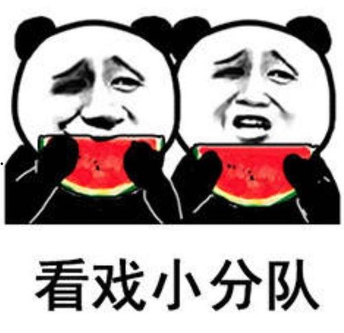 每天看娱乐吃瓜